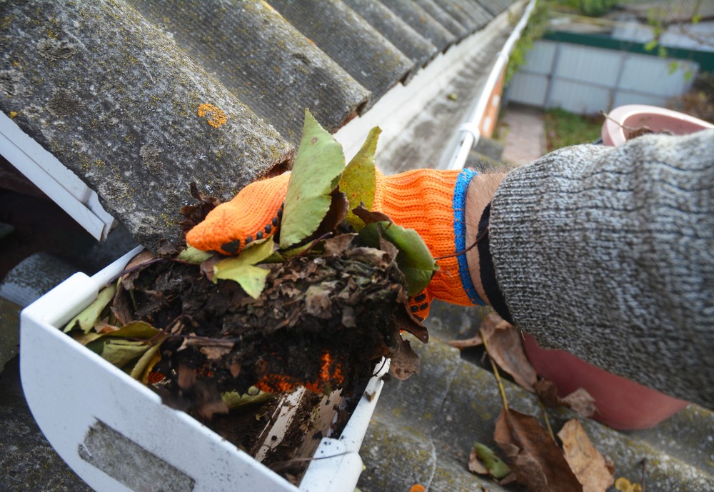 A person wearing an orange work glove scooping a handful of wet leaves and debris out of a white rain gutter.