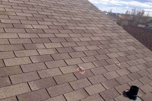 Residential roof section covered in chalk circles from a hail damage inspection.