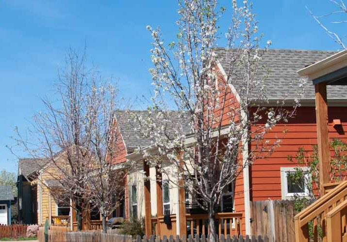 Row of colorful suburban houses with blossoming trees in front