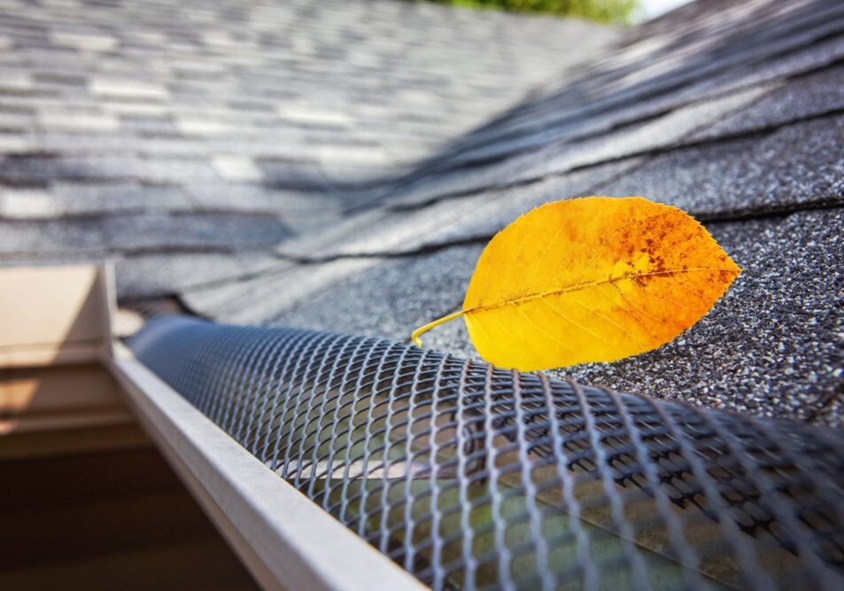 A single yellow autumn leaf resting on a metal mesh gutter guard installed on a shingle roof.